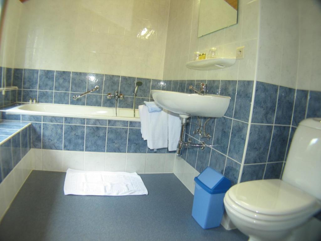 Hotel Aux Massotais Petites Tailles Pokoj fotografie