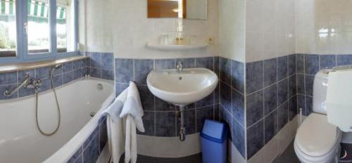 Hotel Aux Massotais Petites Tailles Pokoj fotografie